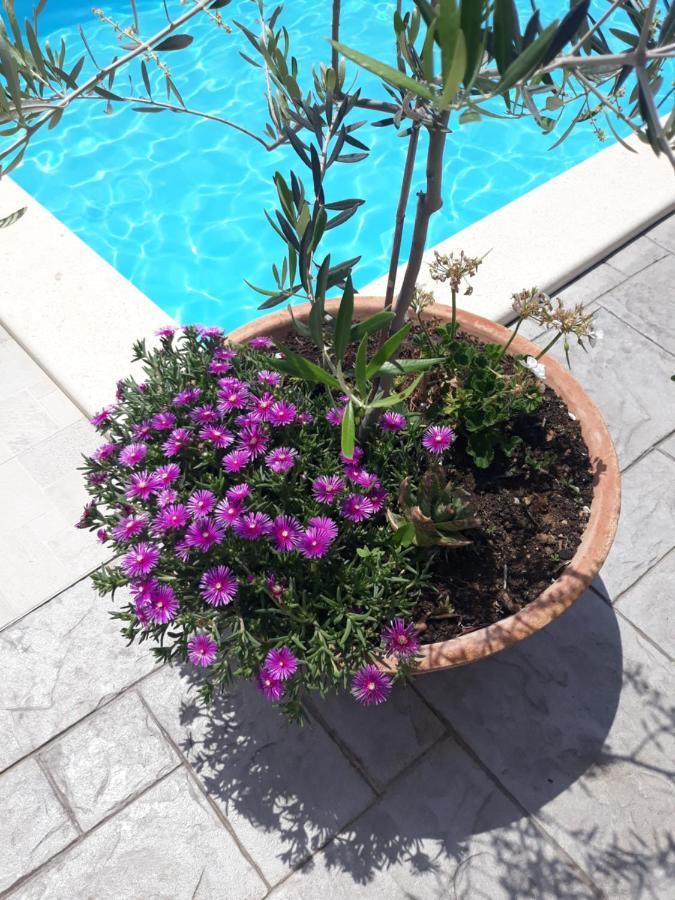 סביד Holiday Home Bepo מראה חיצוני תמונה