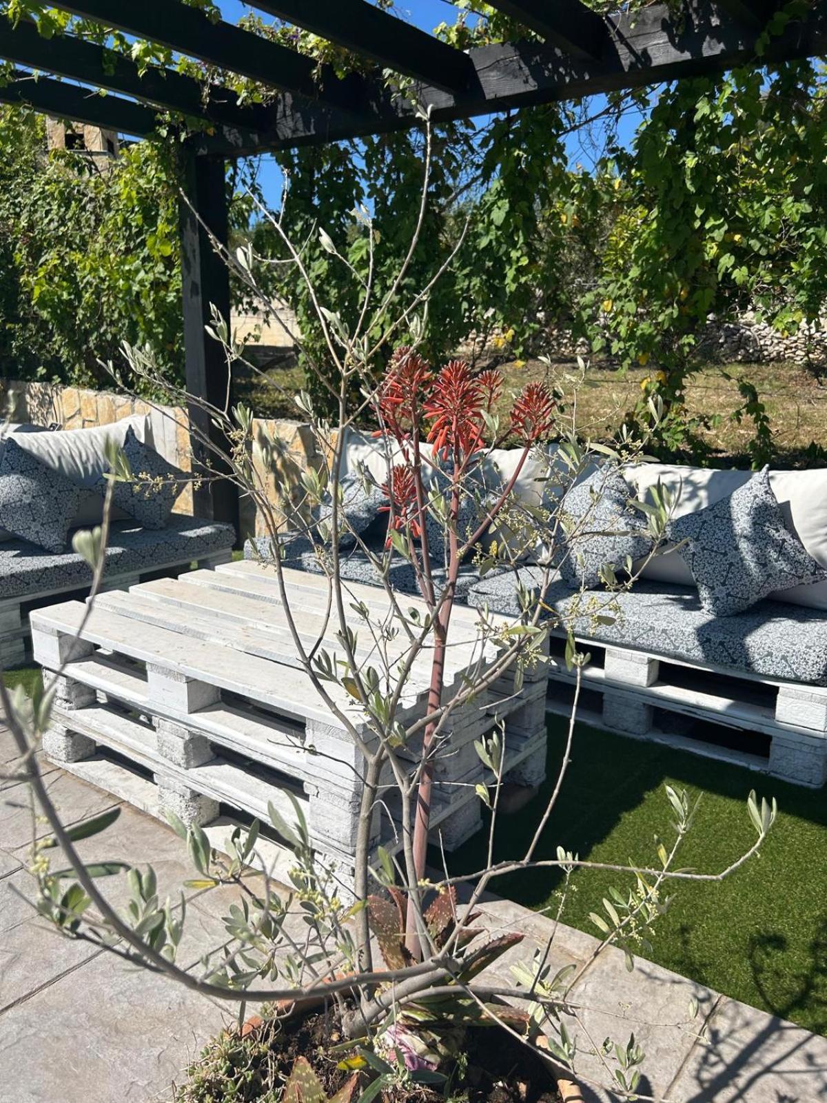 סביד Holiday Home Bepo מראה חיצוני תמונה